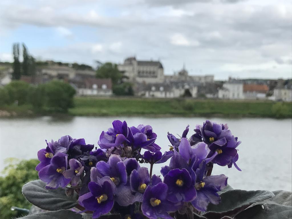 Les Studios de Soizick Amboise Esterno foto